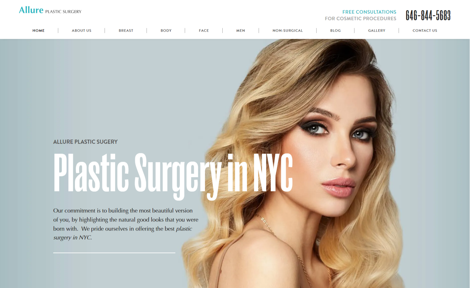 Plastic Surgeons Website Design Services