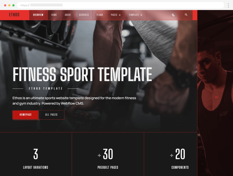 Gym Website Design Services Company